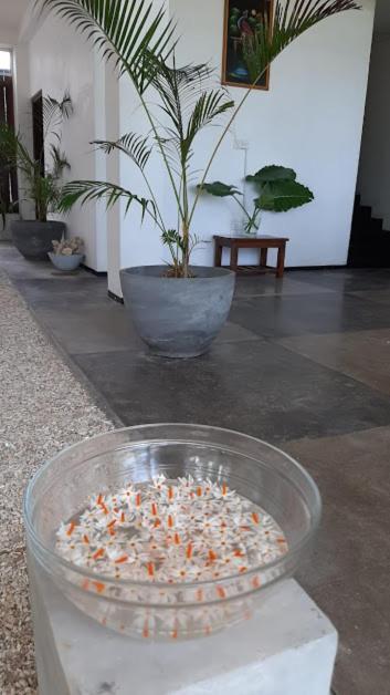 Akurala Beach Boutique Resort מראה חיצוני תמונה