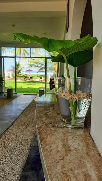 Akurala Beach Boutique Resort מראה חיצוני תמונה